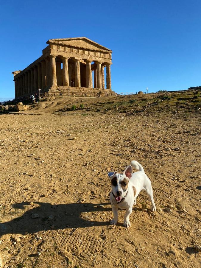 Akragaroom Agrigento Exteriör bild