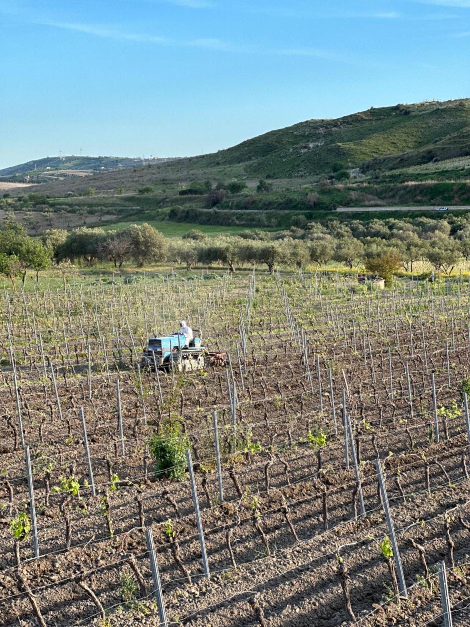 Akragaroom Agrigento Exteriör bild